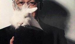 卓伟爆料娱乐圈的事,娱乐圈风云再起，明星隐私曝光引热议